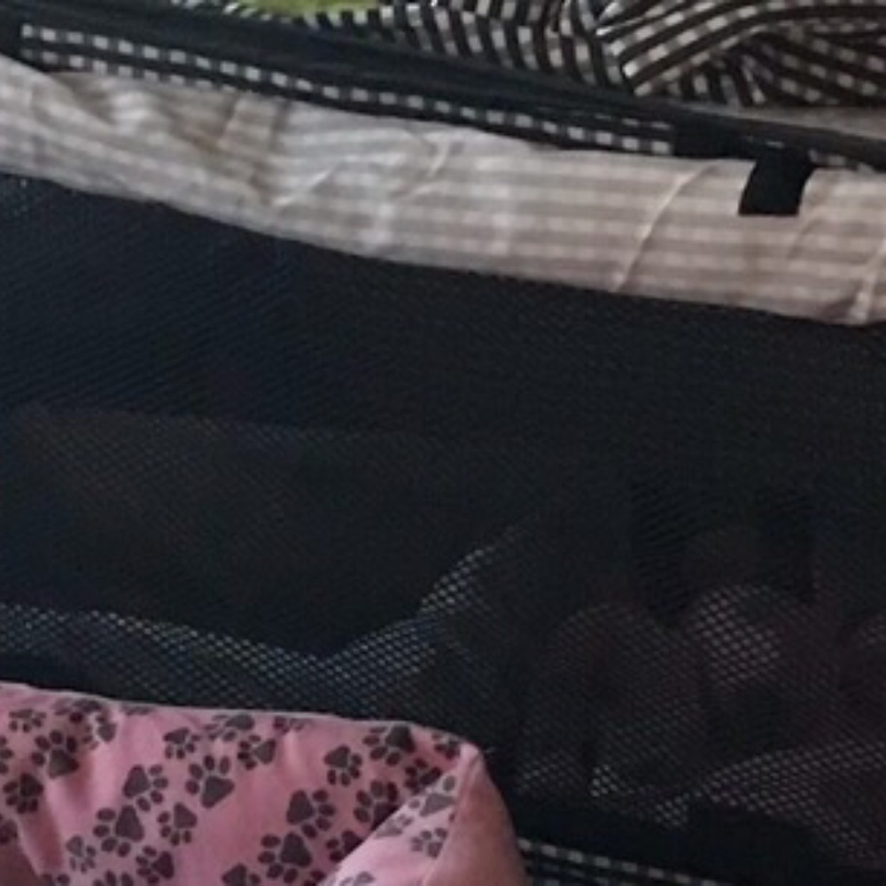 Black and White Cat/Tiny Puppy Soft Crate